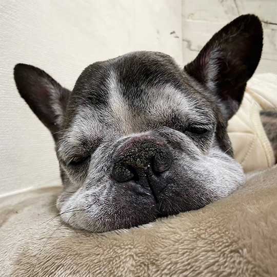 スタッフイメージ